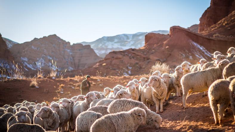 在死海寻活水:探寻人类共同体变迁
